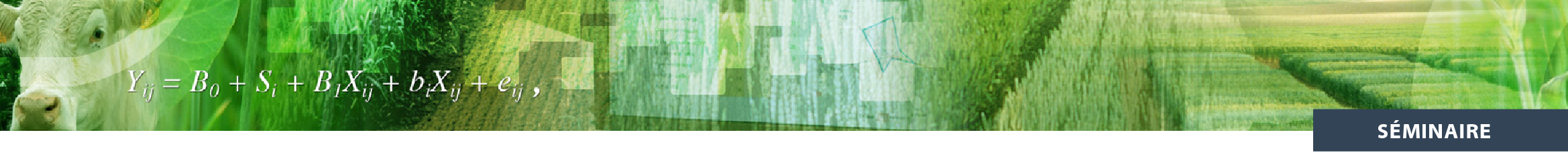 Illustration Méta-Analyse (Photos - ©ARVALIS - Institut du végétal, Institut de l’élevage, ITAB, conception IFIP-Institut du porc)
