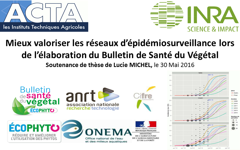 Visuel thèse Lucie Michel